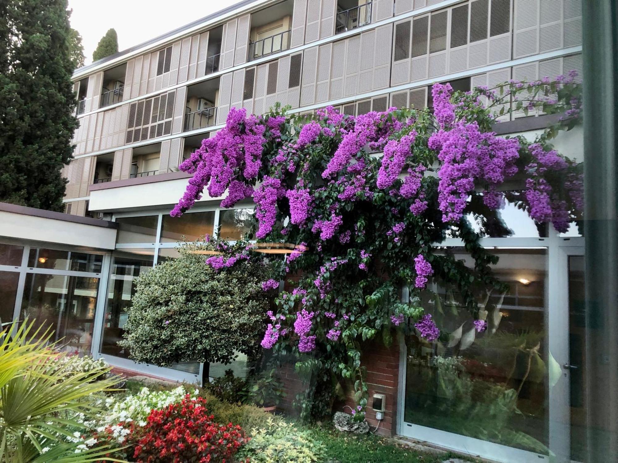 Residence Villa Alba Gardone Riviera Zewnętrze zdjęcie